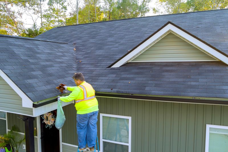 Gutter Maintenance and Cleaning